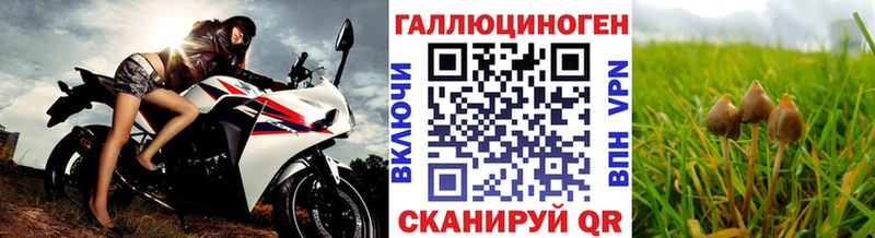 Галлюциногенные грибы мицелий  Питкяранта 