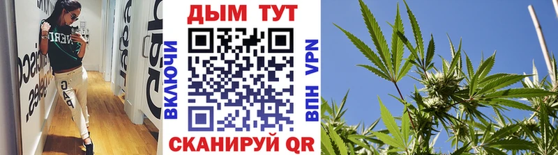 где купить наркоту  Питкяранта  Бошки Шишки OG Kush 